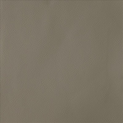 Kasmir BY DESIGN        MUSHROOM        